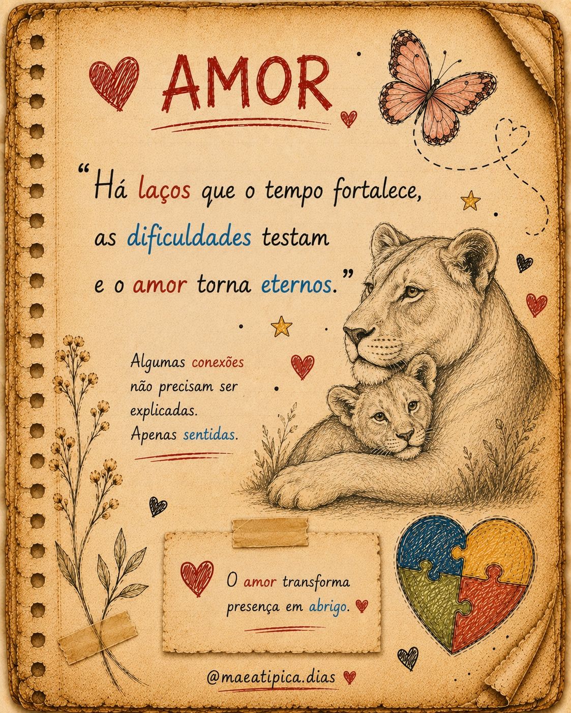 Amor 8