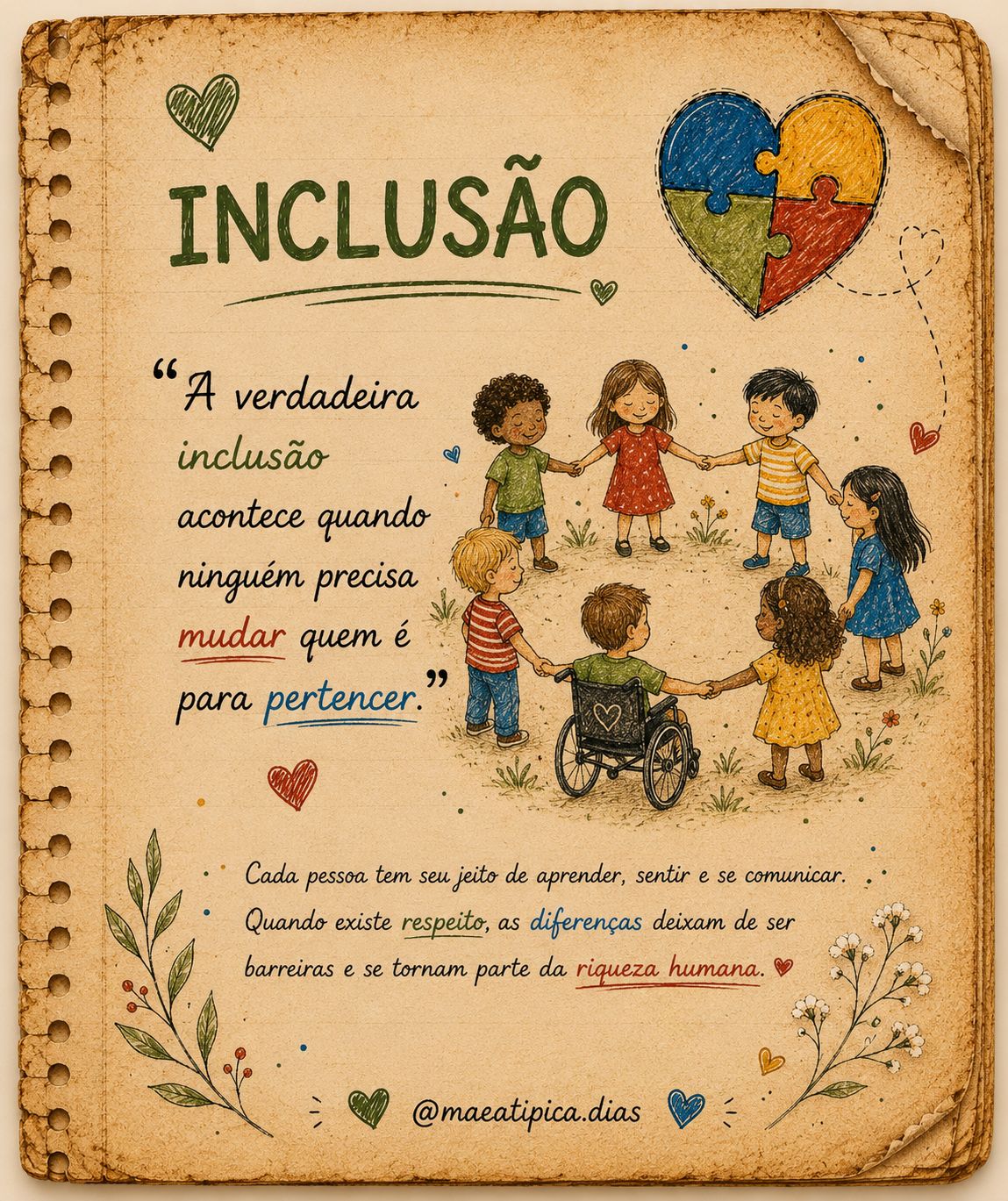 Coleção Inclusão 1