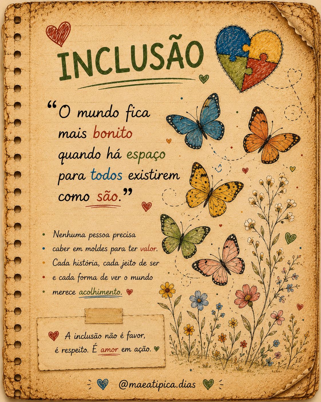 Coleção Inclusão 2