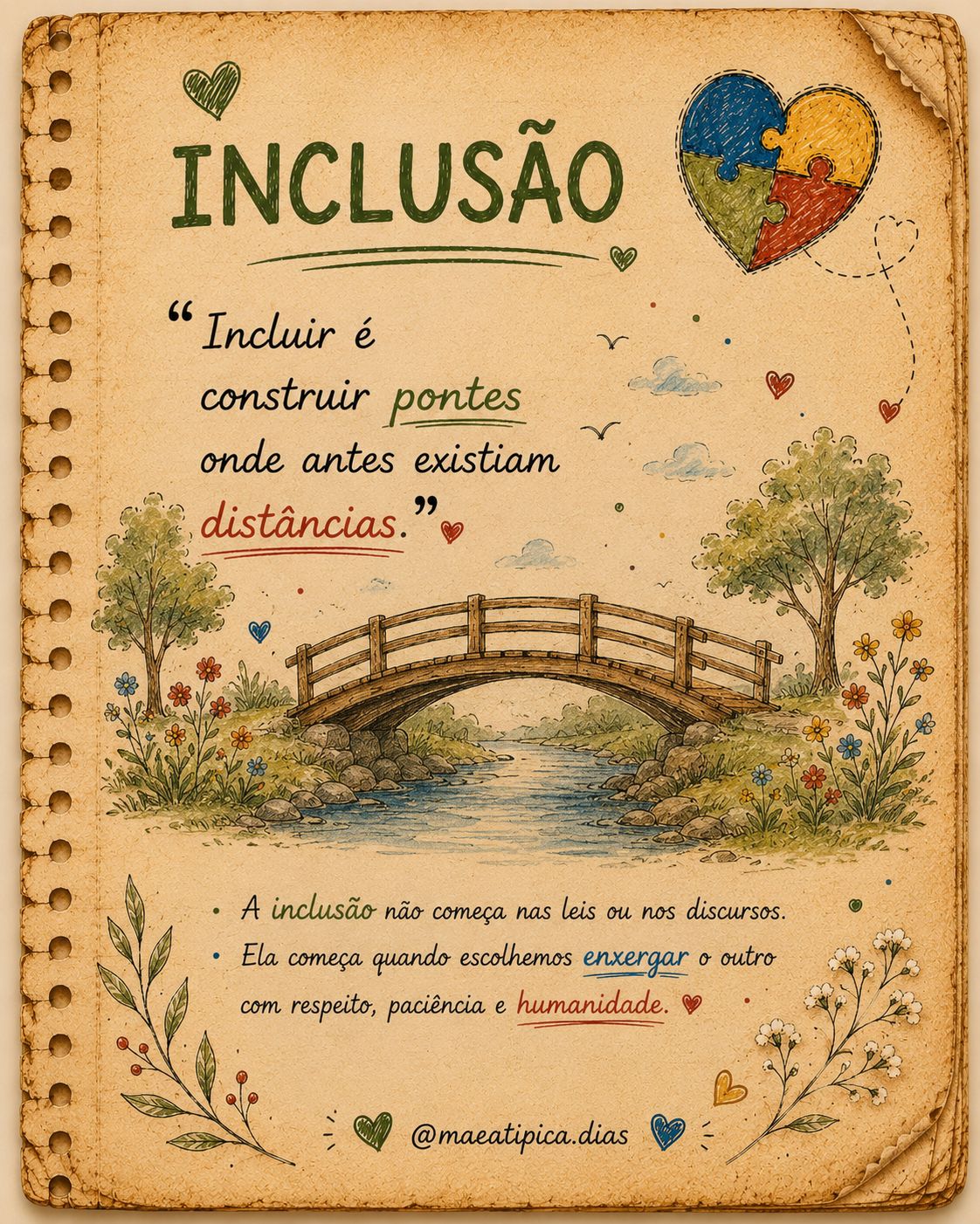 Coleção Inclusão 3